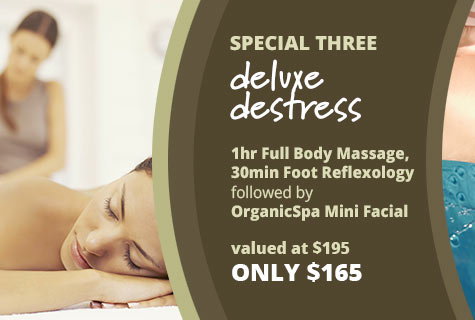 Full Body Massage, Foot Reflexology and Organic Spa Facial offer